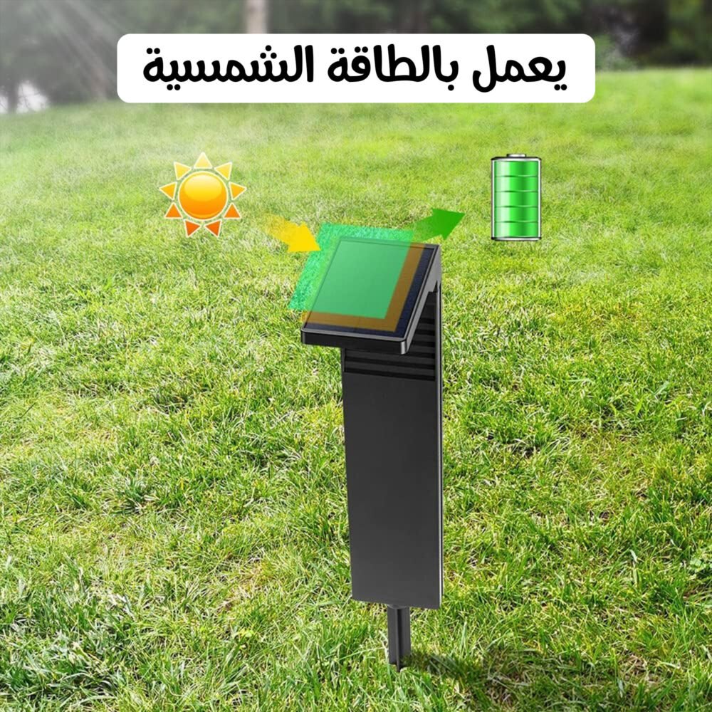 af3cb81d 56da 4294 a281 0596a3b2ef5a